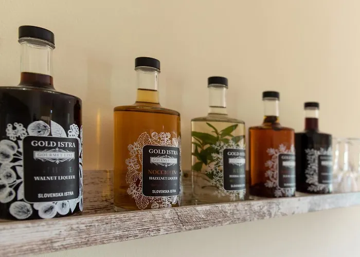 別荘 Gold Istra ポルトローシュ